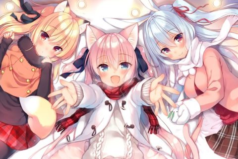 【萌新必看】网站食用指南