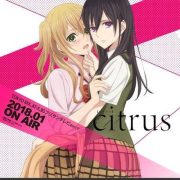 [已补档][DMG][180008]柑橘味香气[720P][GB]MP4